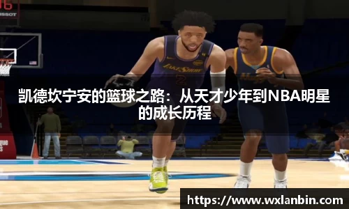 OB视讯