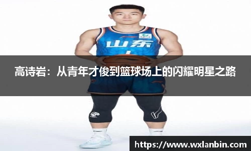 OB视讯